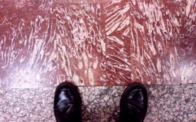 Formele sunt diferite