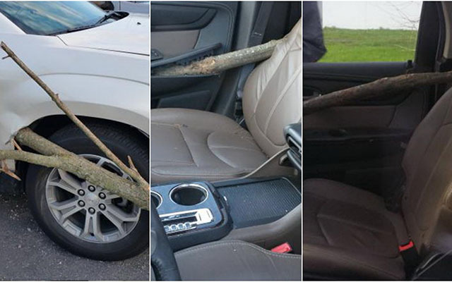 SURSĂ FOTO: Marlani.RO