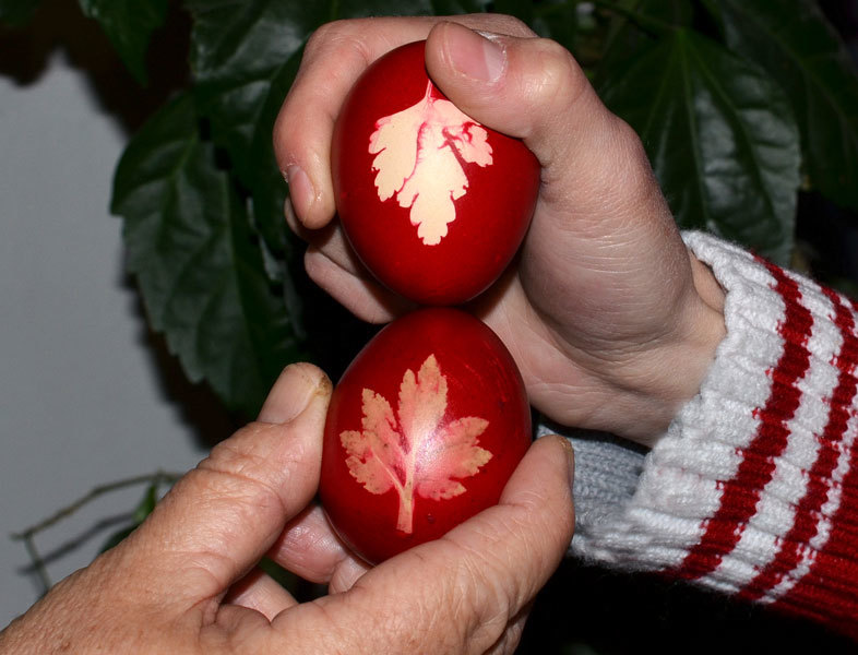 Câte zone, atâtea tradiţii legate de ciocnirea primelor ouă roşii în prima zi de Paşte.