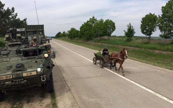 Imaginea s-a viralizat instant