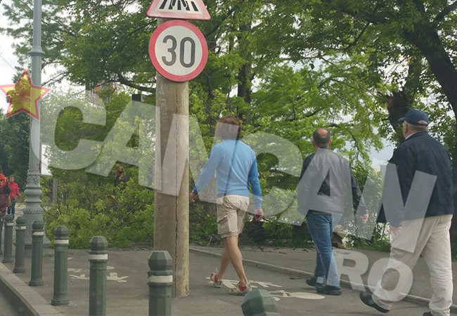 Mai mulţi copaci au căzut în Parcul Herăstrău din Capitală.
