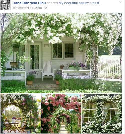 Aceste locuri cu multă verdeaţă erau ultimele pe care le posta tânăra jurnalistă pe Facebook