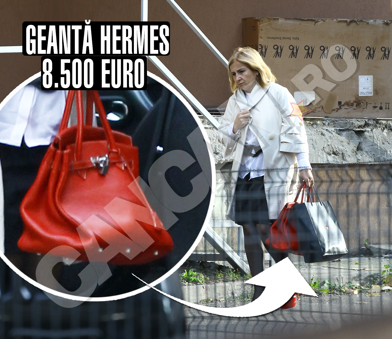 Declaraţia de avere a ”Doamnei Hermes” nu reflectă şi... garderoba acesteia, în care piesa de rezistenţă este o geantă de 8.500 de euro!