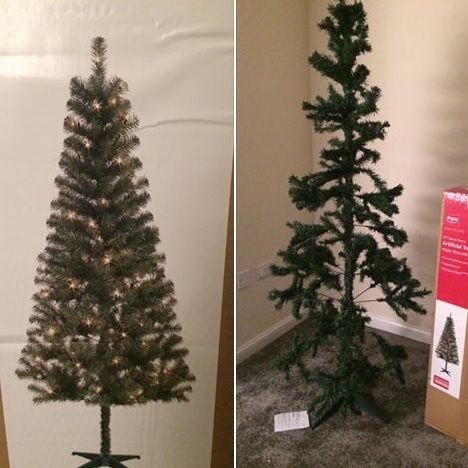 O tânăra a rămas şocată atunci când a văzut cum arată bradul pe care l-a comandat de pe internet.