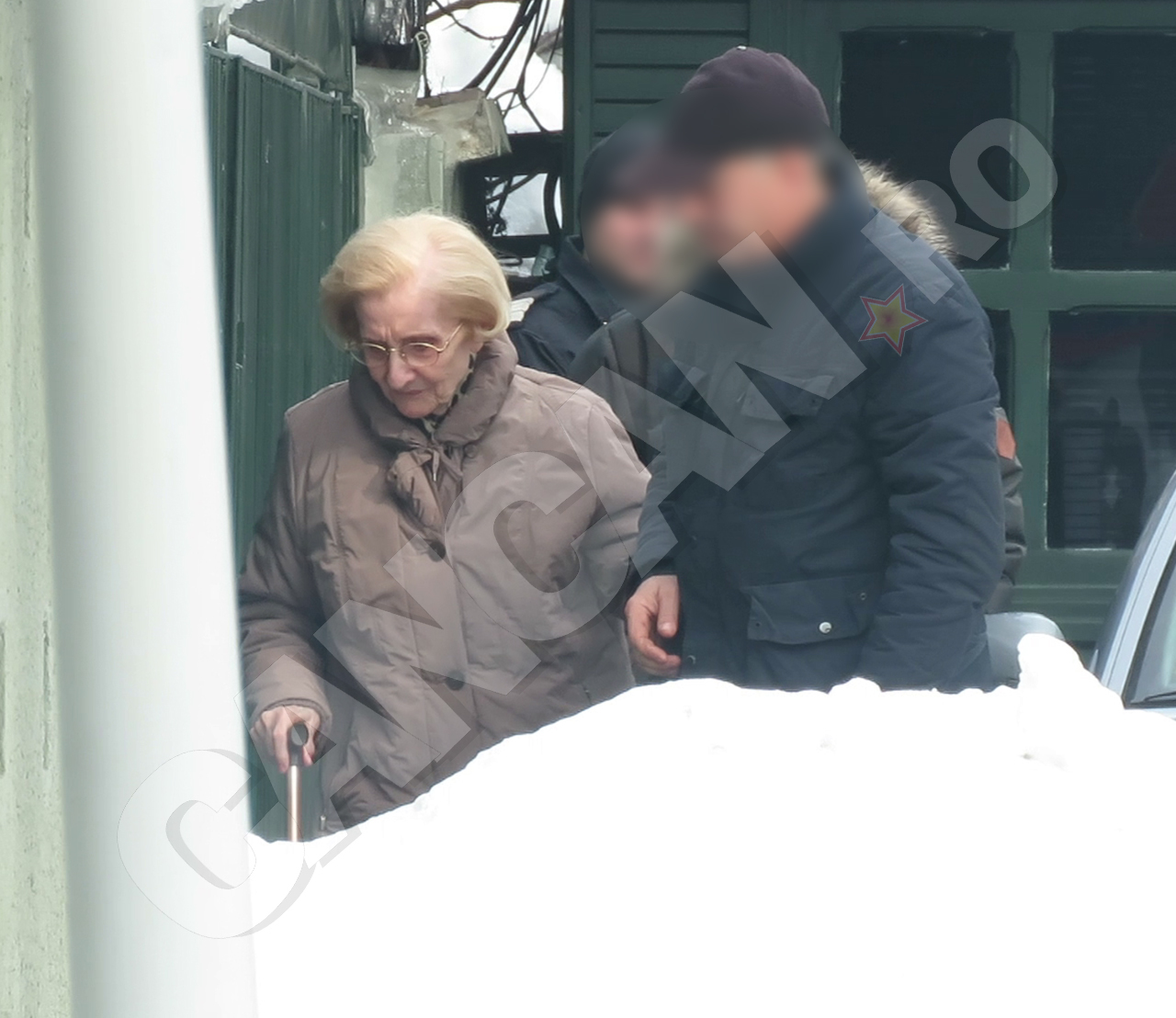 Doamna Nina Iliescu a făcut