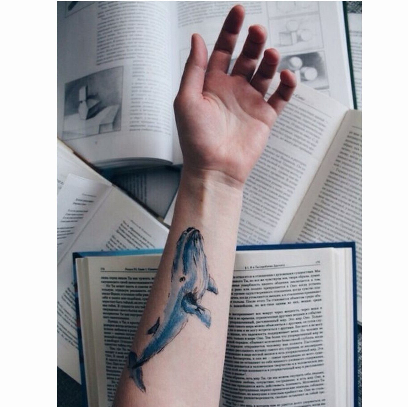 In decursul celor 50 de zile.adolescenţii sunt provocaţi la sarcini macabre, printre care şi automutilarea