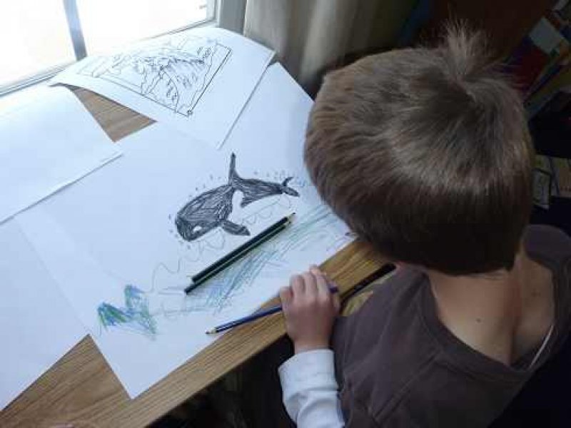 Jocul Balena Albastră are o singură încheiere: moartea jucătorului