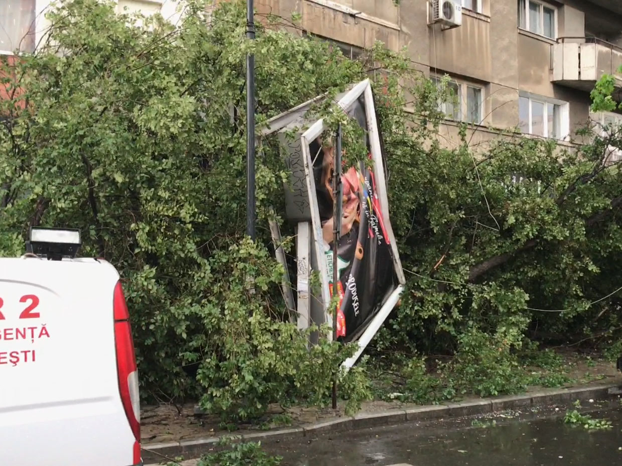 Arborele prăbuşit a doborât un panou