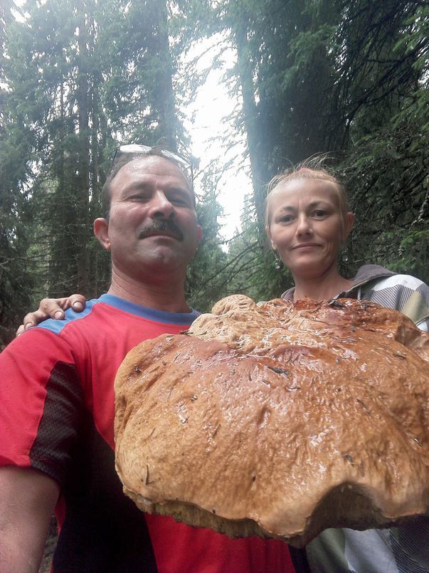 Viorel Dăianu şi soţia lui au găsit ciuperca uriaşă.