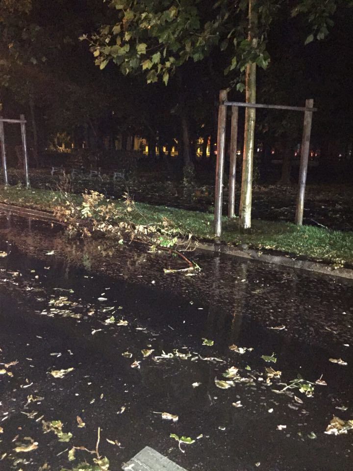 Imagine de pe Bulevardul Kiseleff