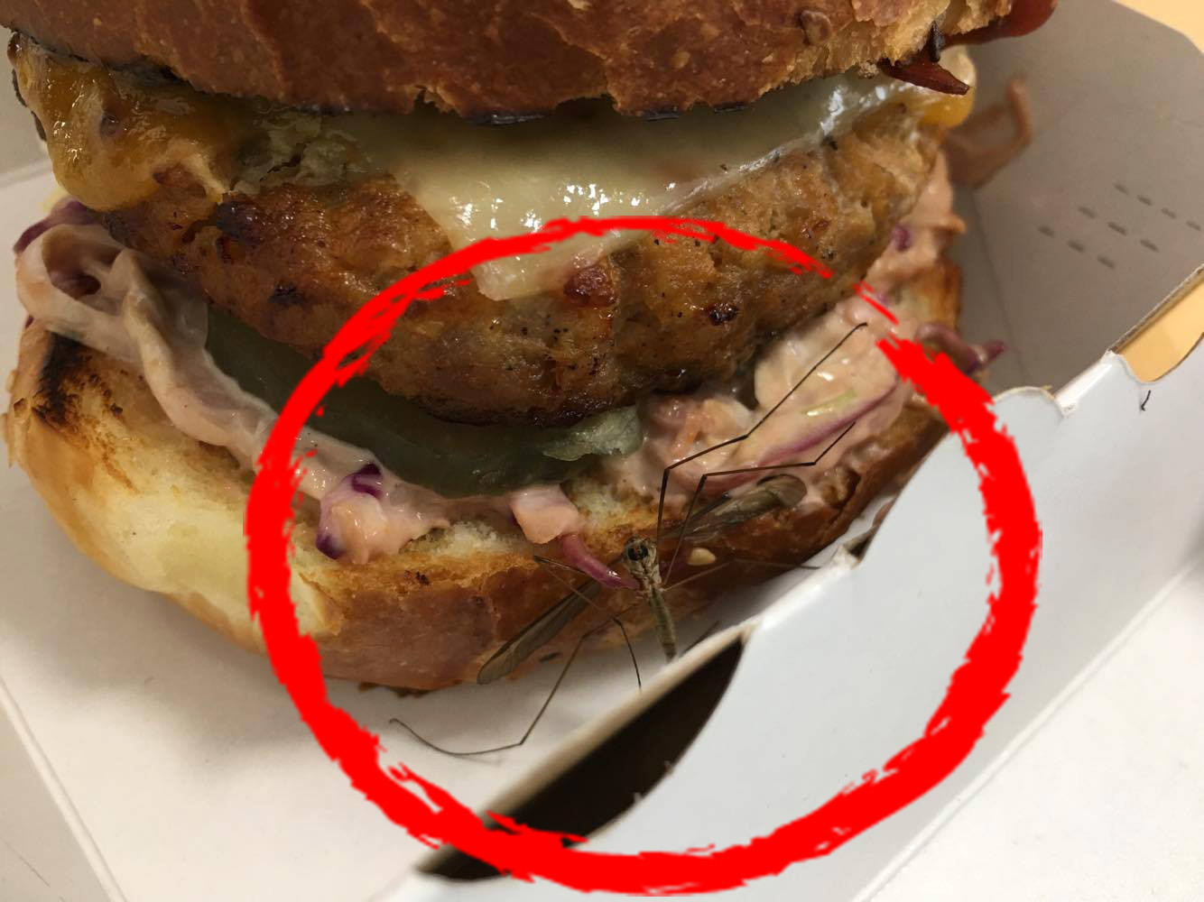 Insecta moartă era chiar în interiorul sandvişului