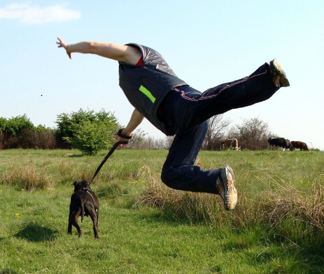 Marcel Drăgan, la o plimbare obişnuită cu câinele