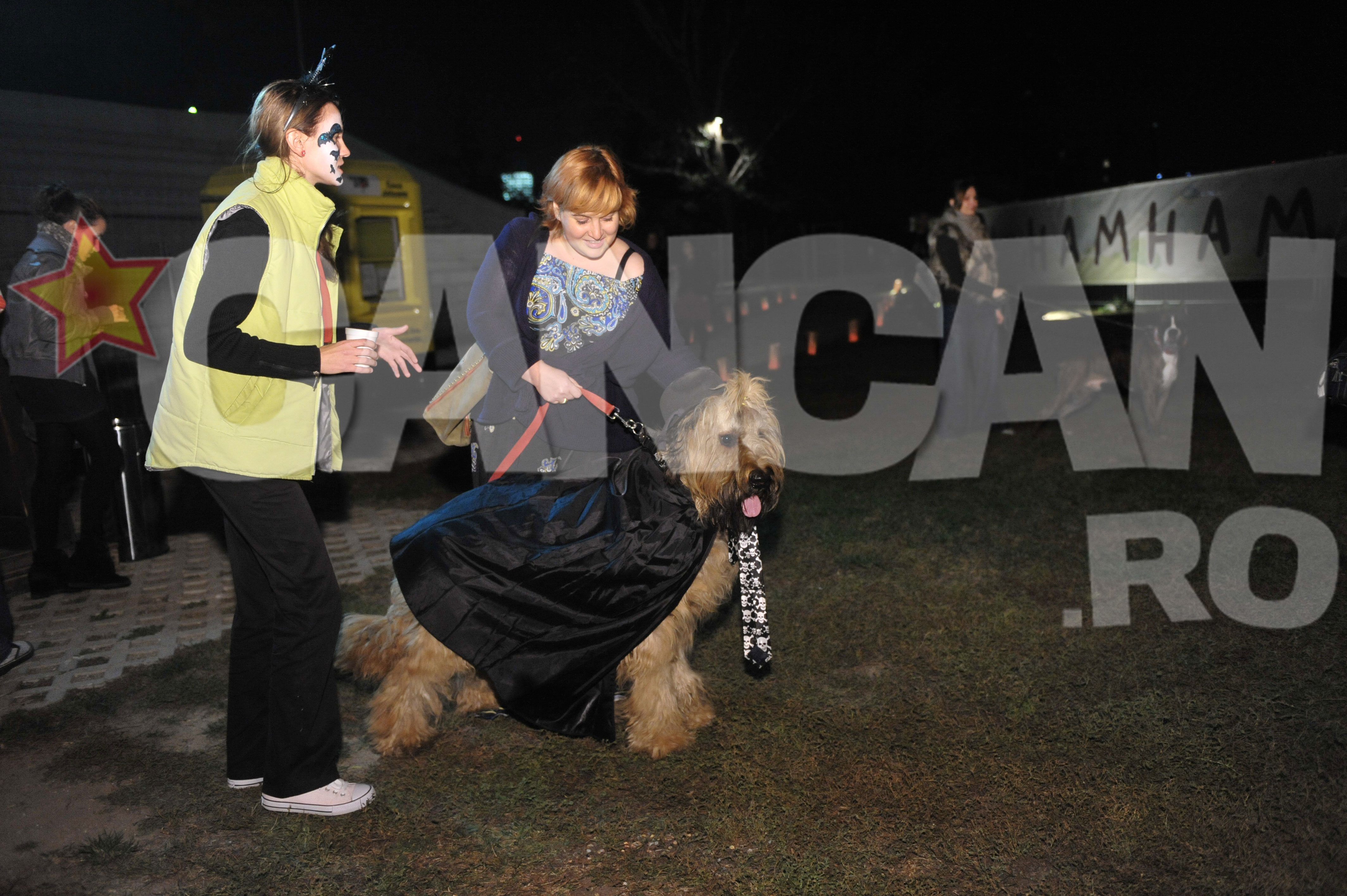 O noapte de cazare in camera VIP costa 120 de lei, dar stapanul isi poate urmari de oriunde animalul, camera de 16 mp si cu terasa de 12 mp fiind supravegheata cu webcam