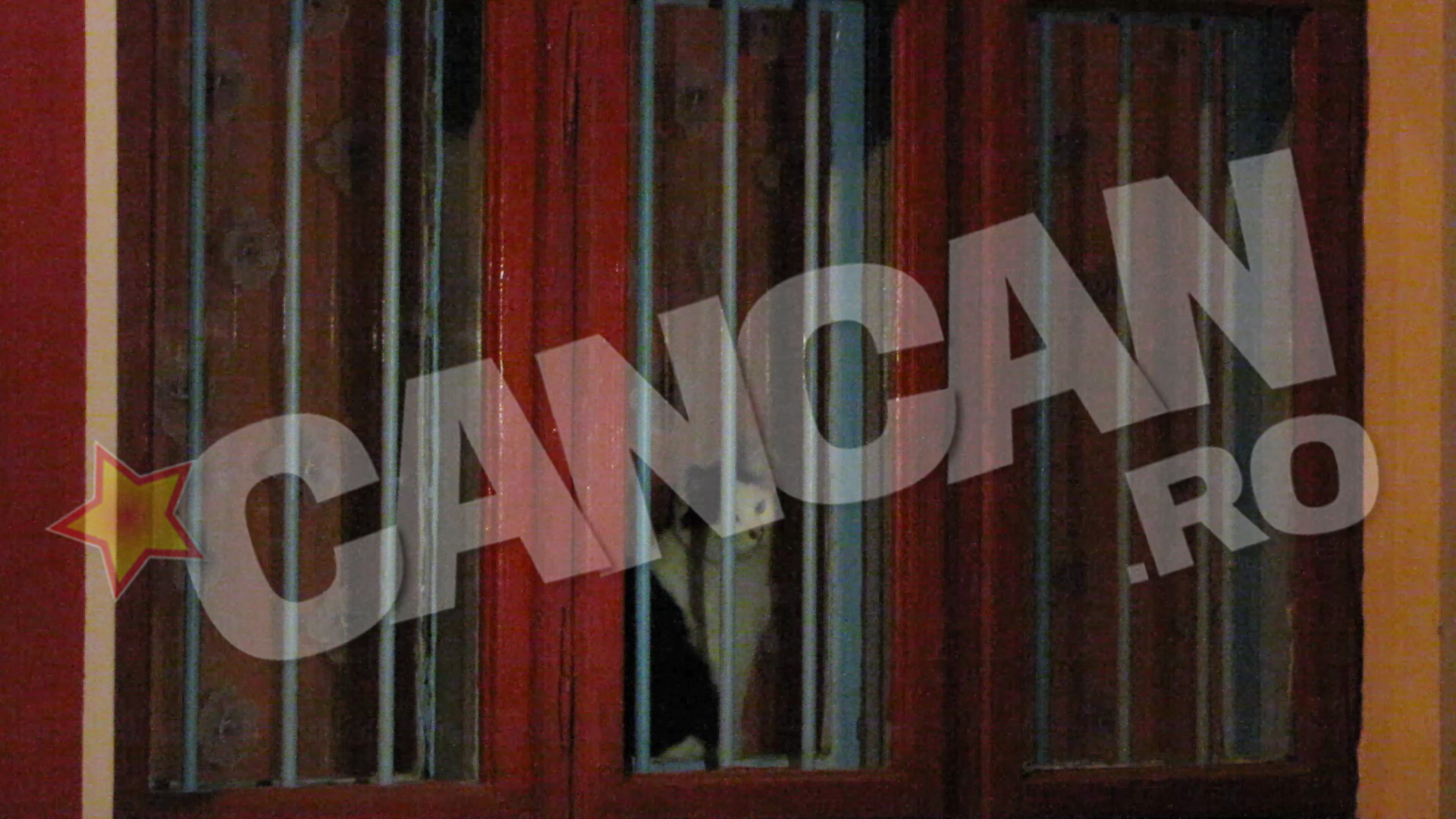 O să ţi se rupă sufletul! N-o să-ţi vină să crezi ce suflet mic îl plânge pe marele actor, chiar în casa acestuia!