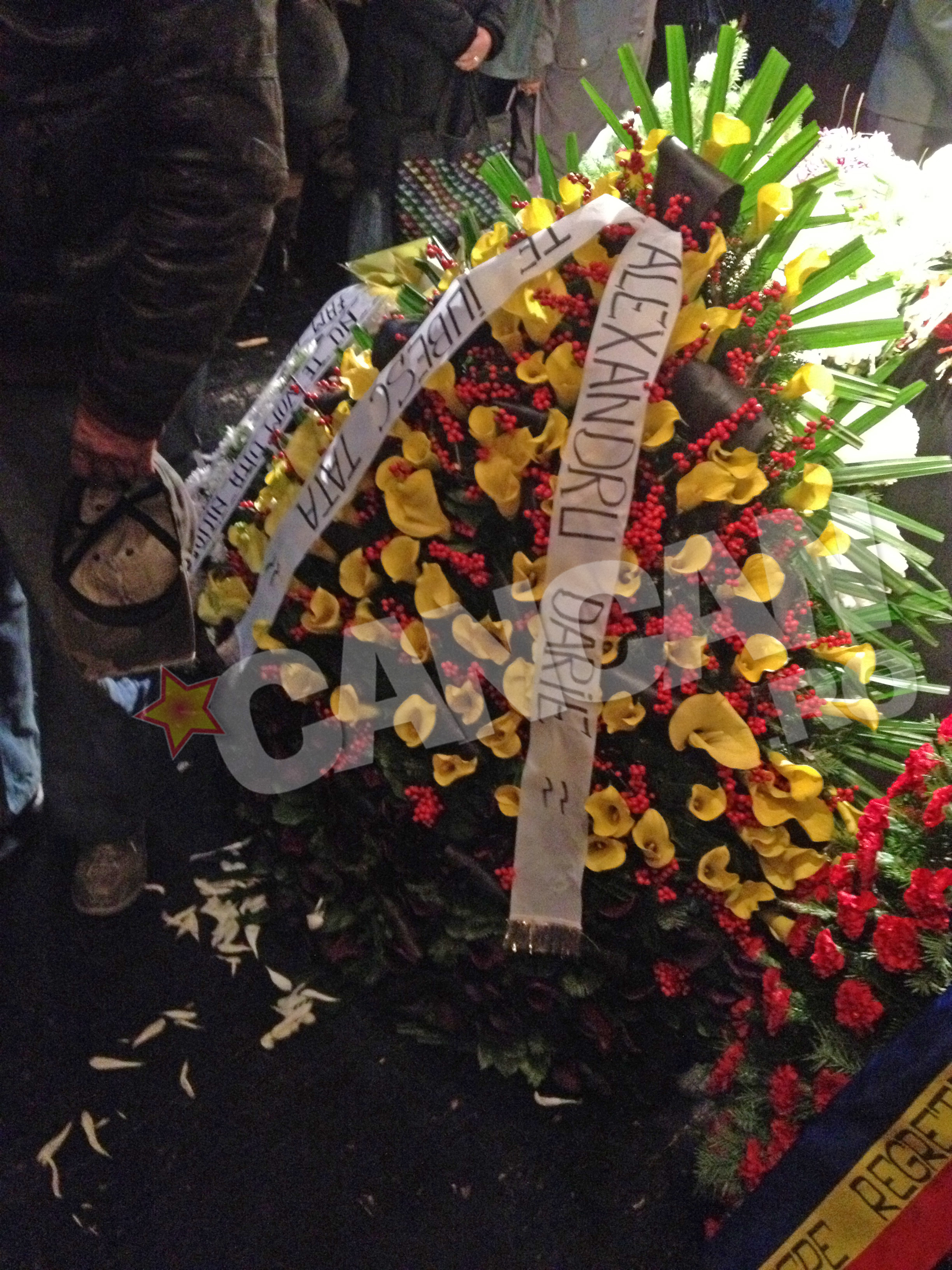 “Te iubesc, tata”, au fost cuvintele pe care Ducu nu a mai apucat sa I le spuna tatalui sau decat pe panglica de pe coroana