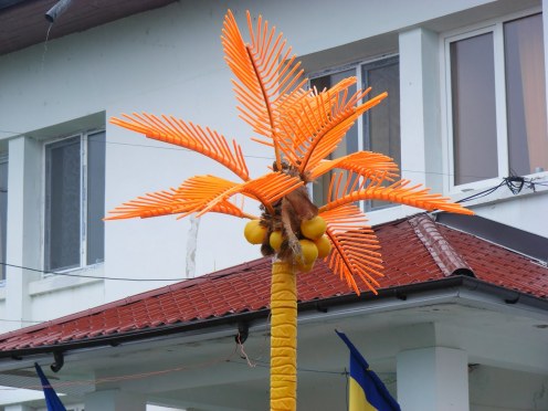 case demente, case ciudate, cashidelucs.ro