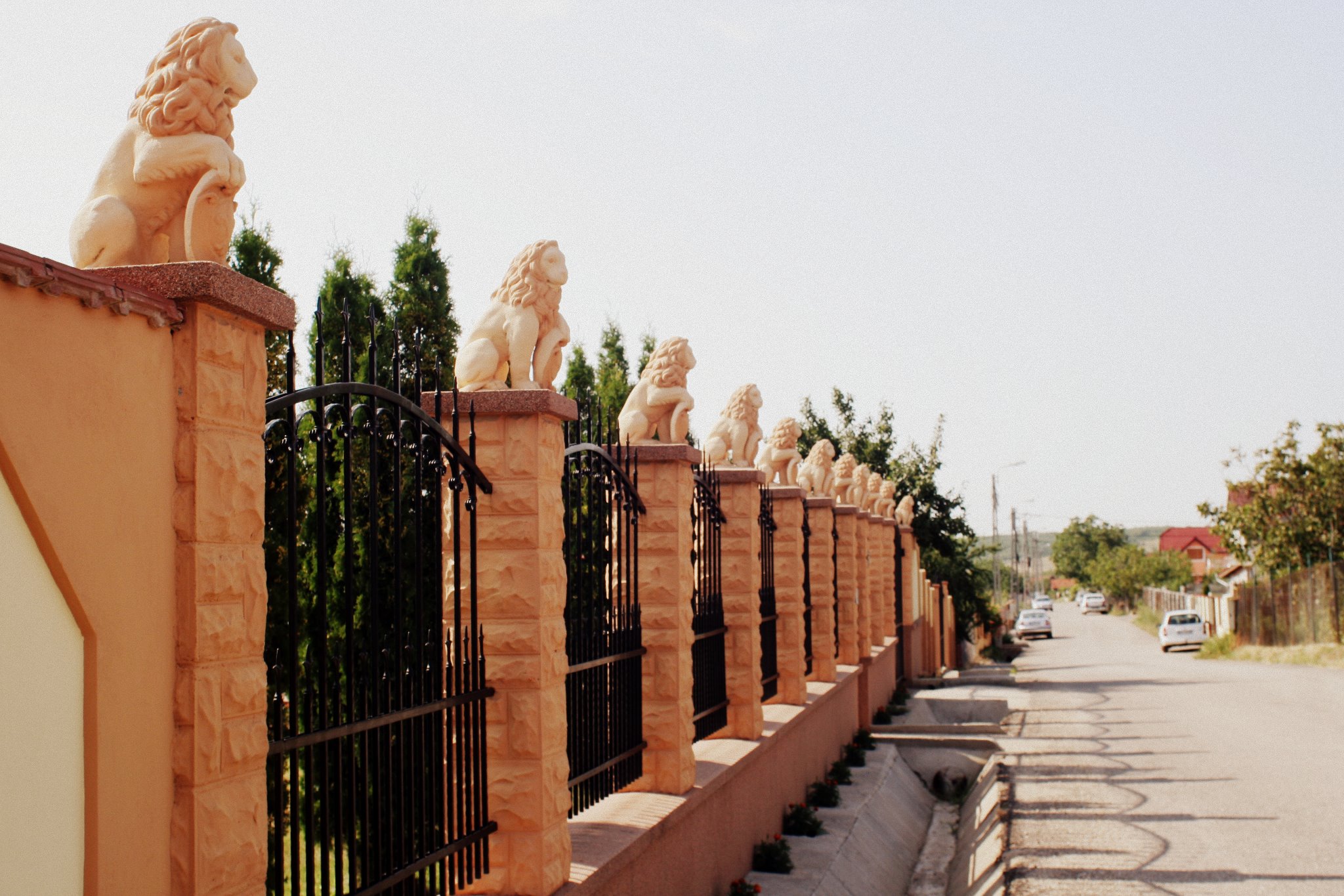 case demente, case ciudate, cashidelucs.ro