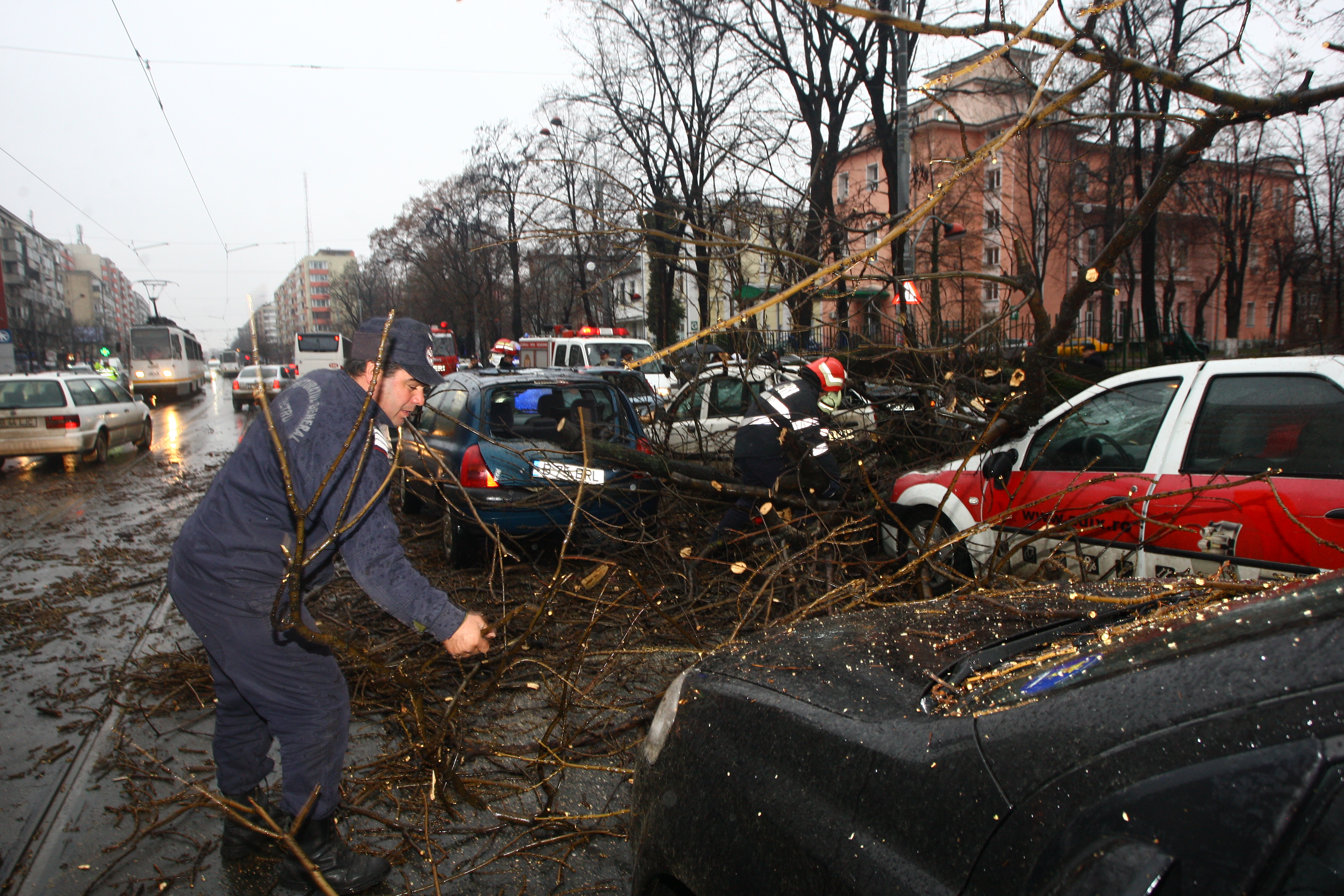 N-ai să crezi aşa ceva! Ce şoferi ghinionişti! Pe şoseaua Ştefan cel Mare din Capitală, a căzut un copac peste maşini!