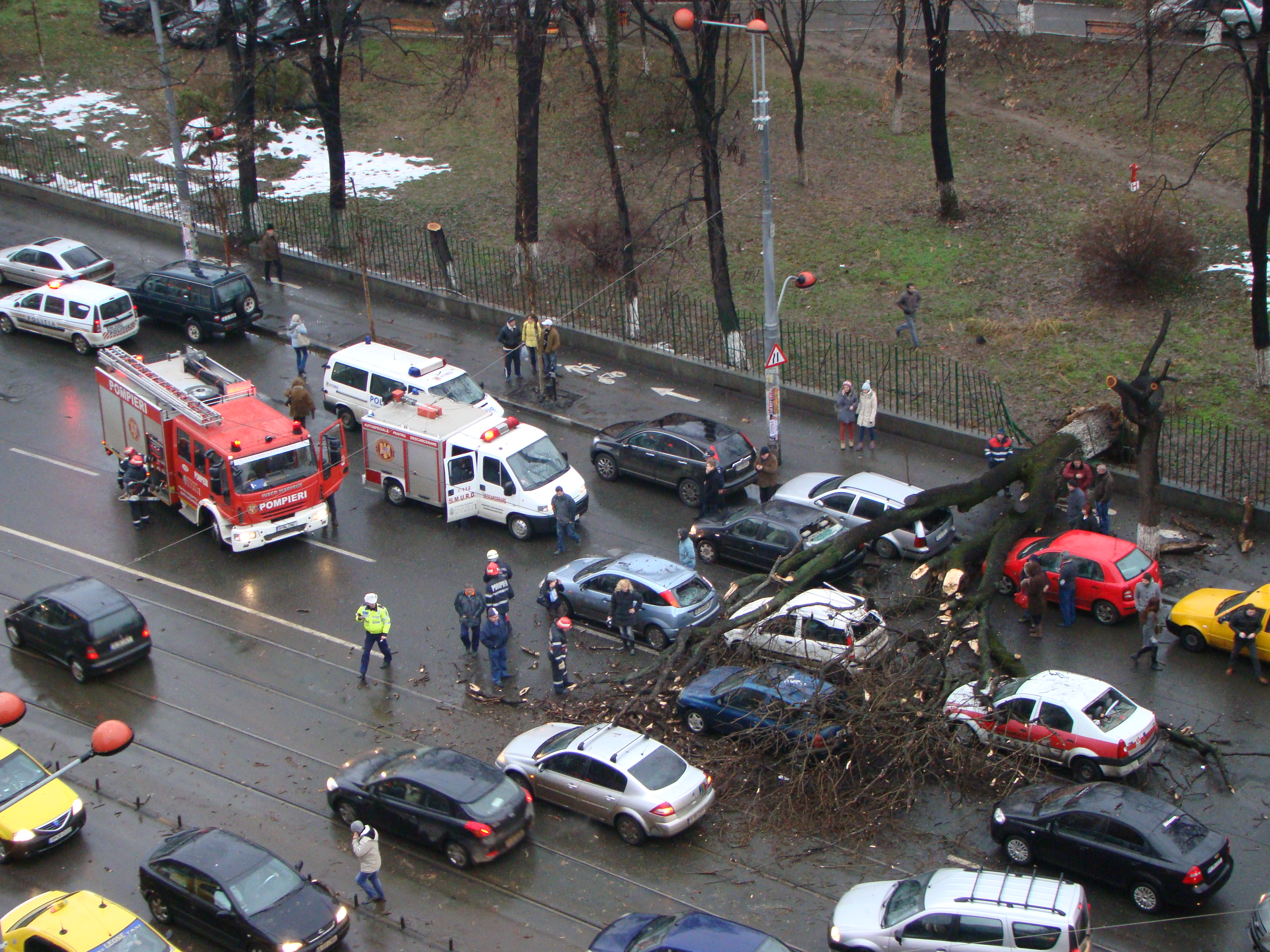 N-ai să crezi aşa ceva! Ce şoferi ghinionişti! Pe şoseaua Ştefan cel Mare din Capitală, a căzut un copac peste maşini!