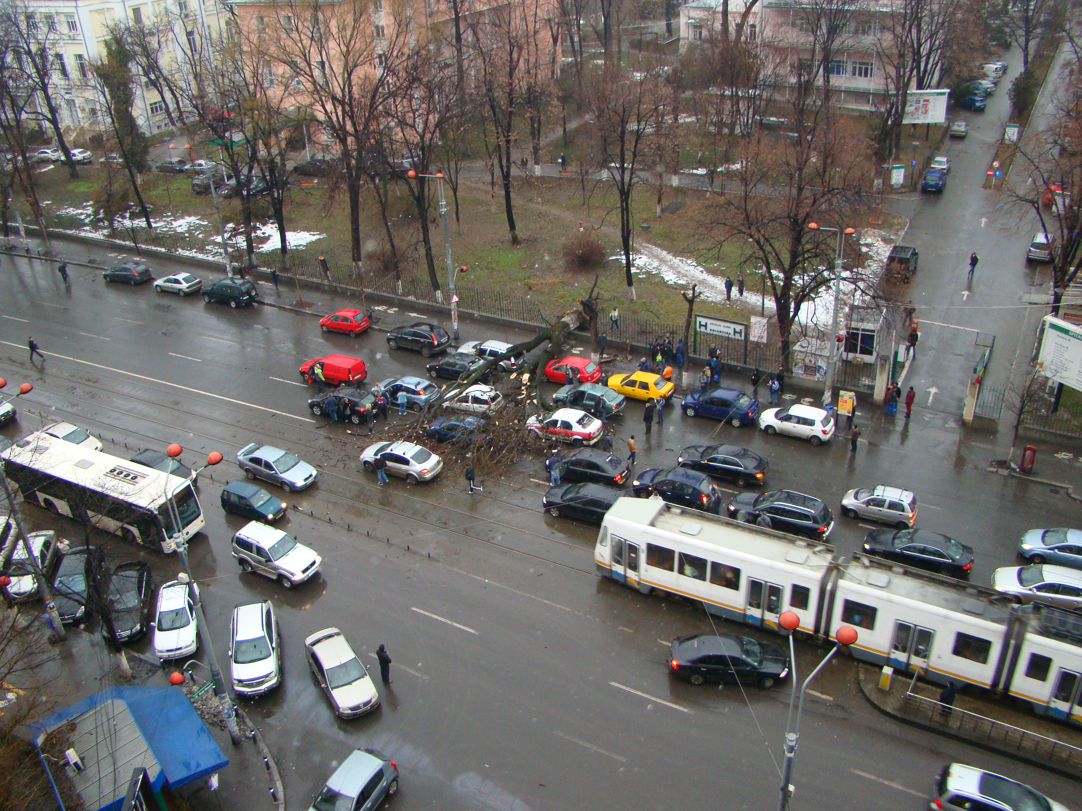 N-ai să crezi aşa ceva! Ce şoferi ghinionişti! Pe şoseaua Ştefan cel Mare din Capitală, a căzut un copac peste maşini!