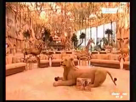 Una dintre resedintele magnatului arab