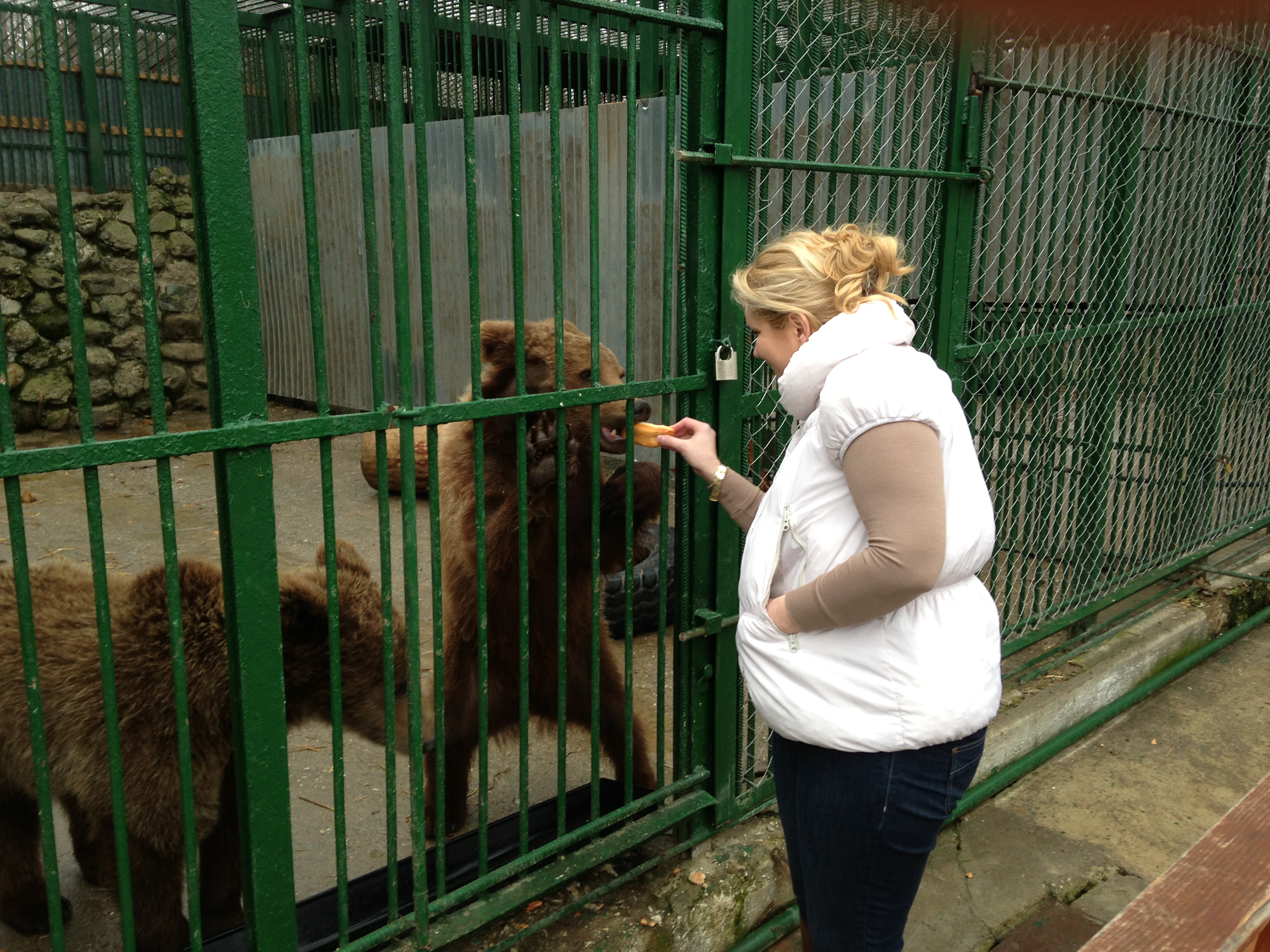 Atenta. Directoarea de la Zoo ii da din mana de mancare unuia dintre ursii lui Nutu
