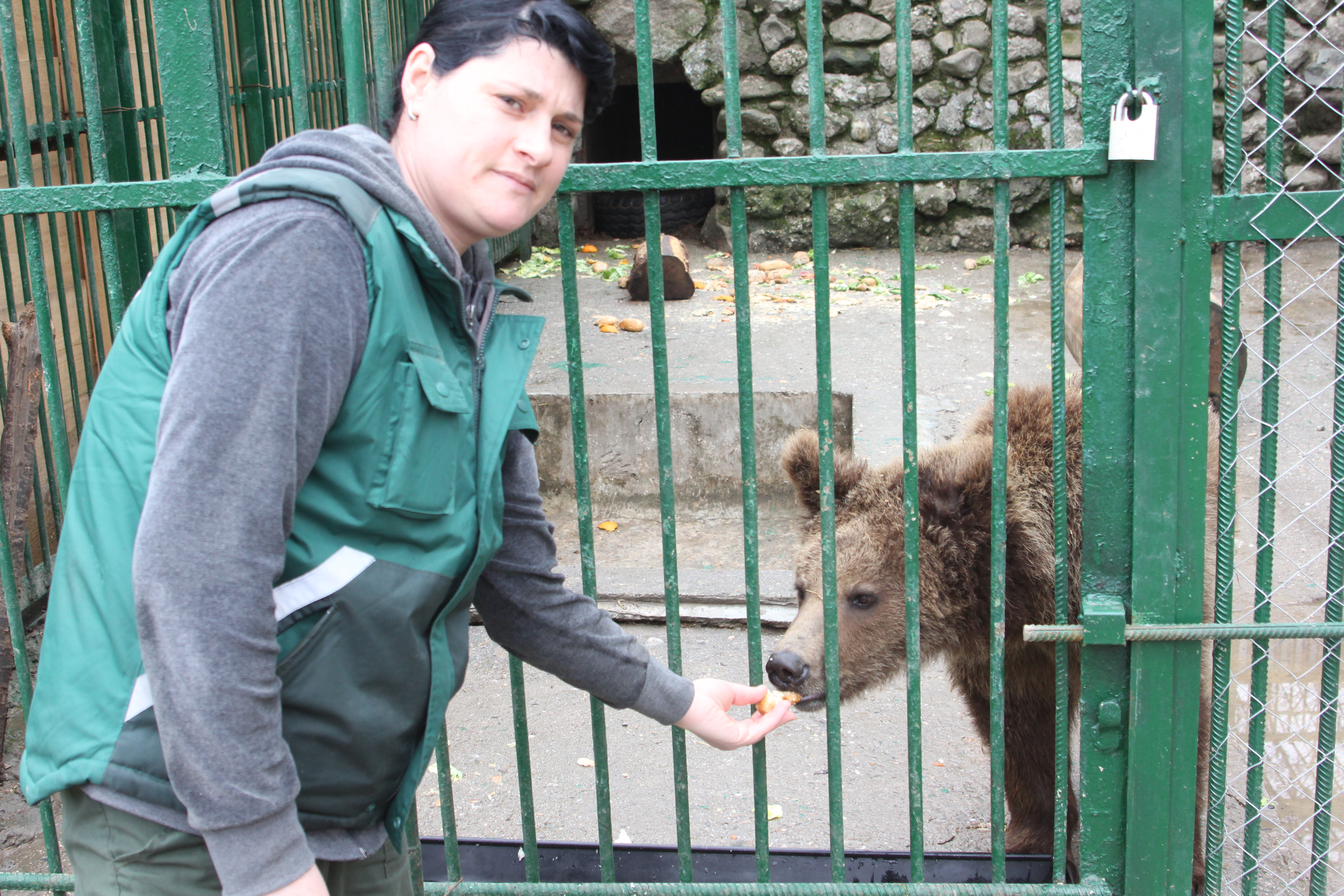 Grija. Roxana Mocanu, una dintre mamele adoptive ale ursilor, este atenta cu noii locatari