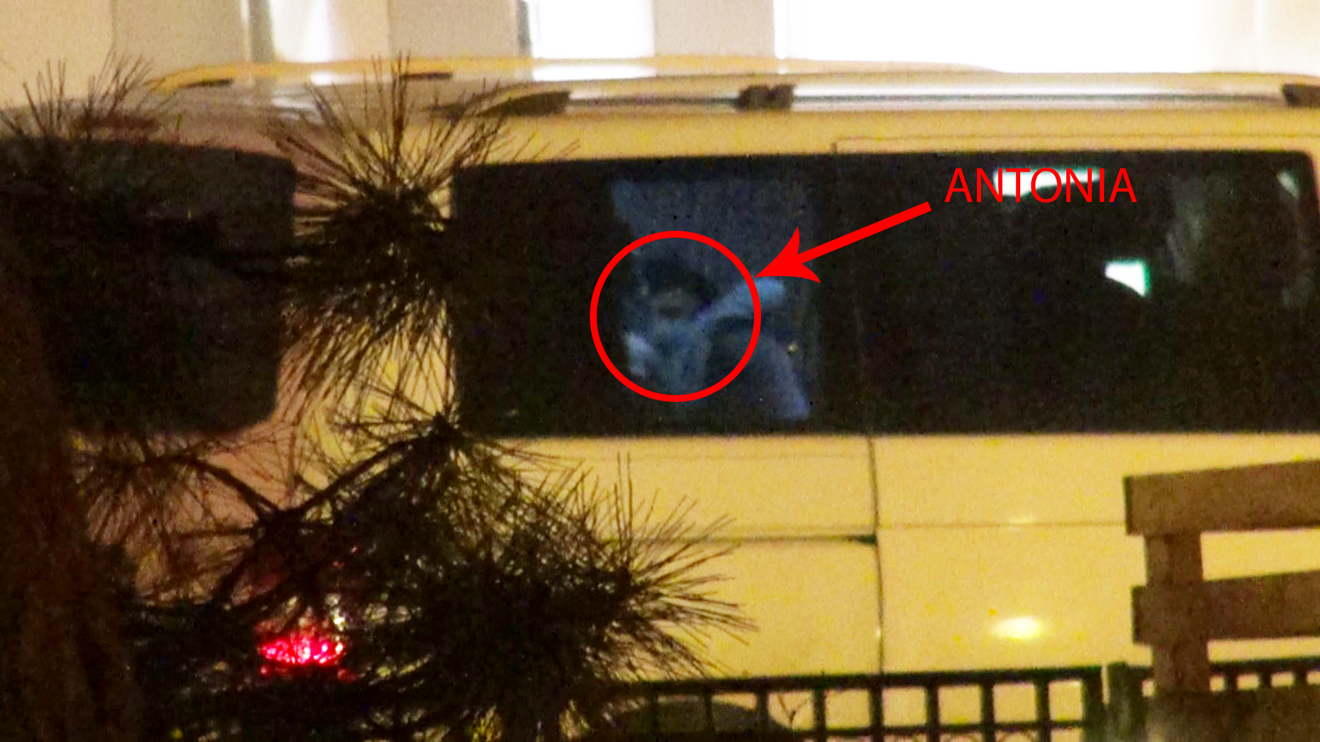 Antonia s-a schimbat in masina inaintea concertului