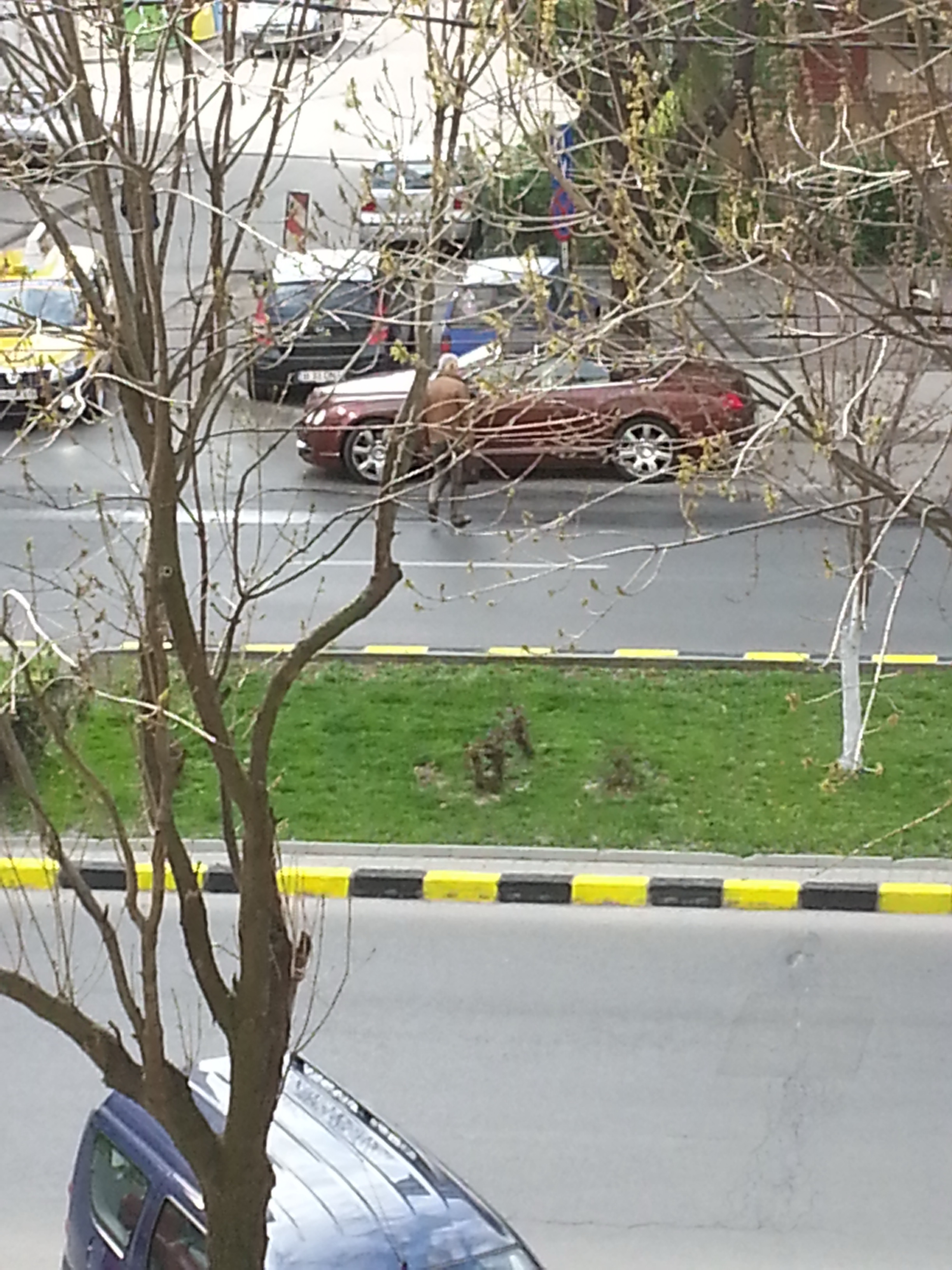 Irinel si-a parcat masina intr-un loc interzis