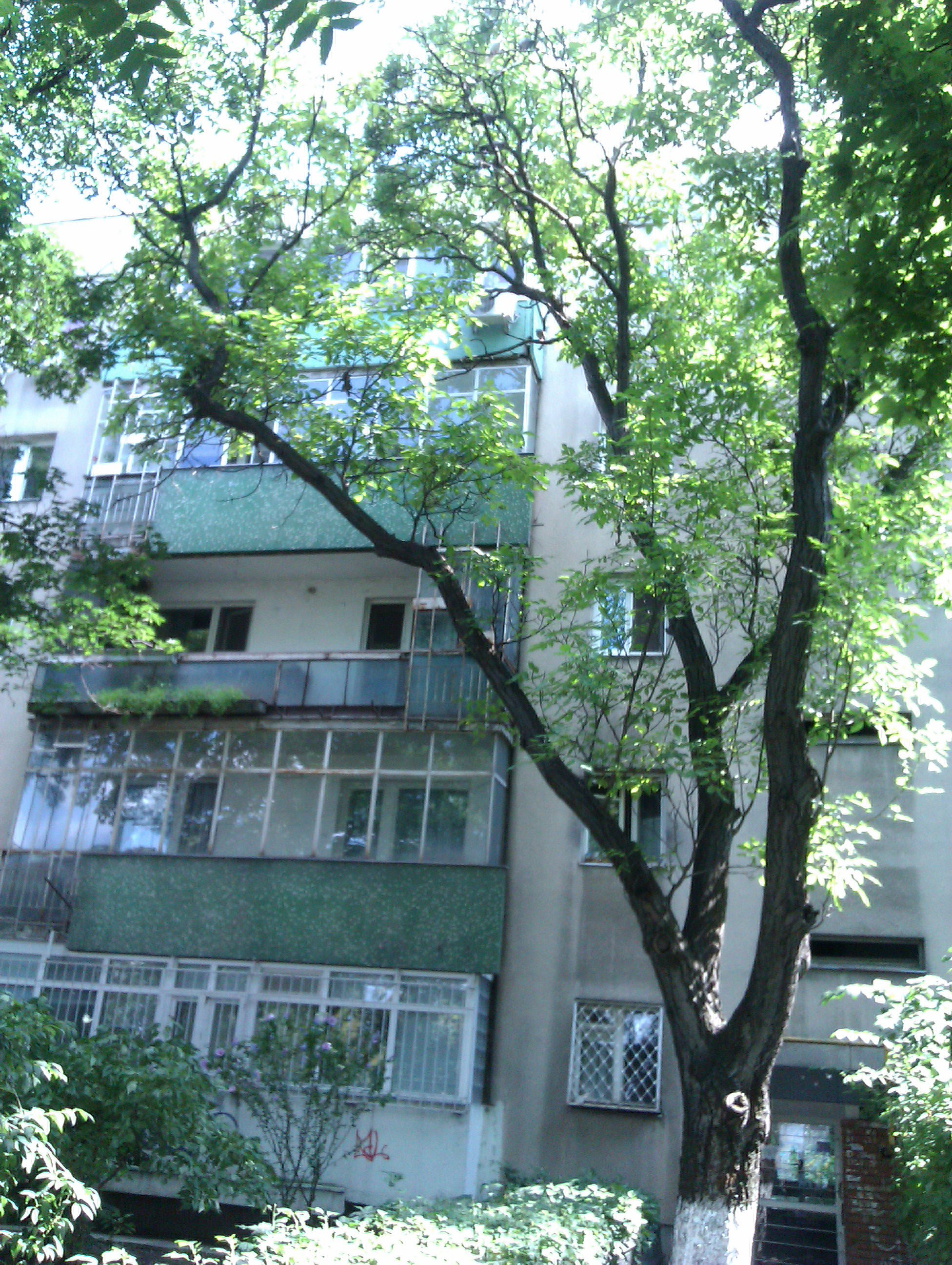 Acesta este blocul in care locuieste Gheorghe Marmureanu