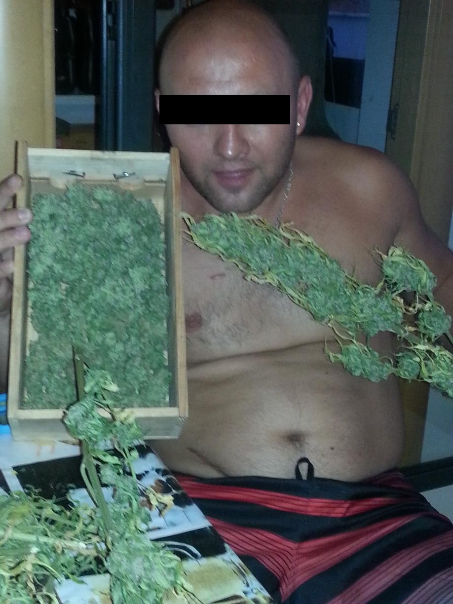 Romanul de mandreste cu stupefiantele cultivate in ghiveci