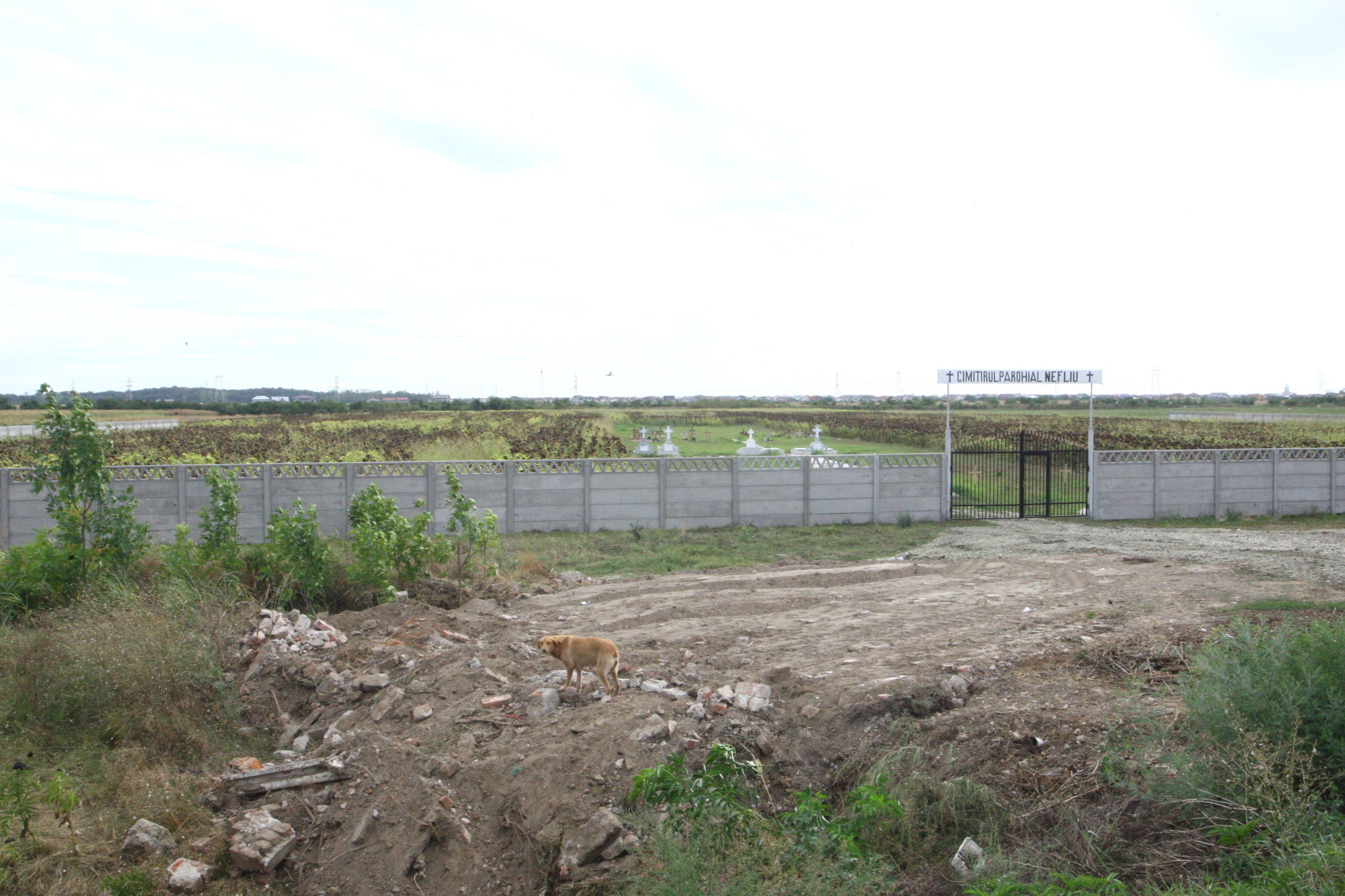 Cat de curand combinele vor intra in cimitir pentru a strange recolta