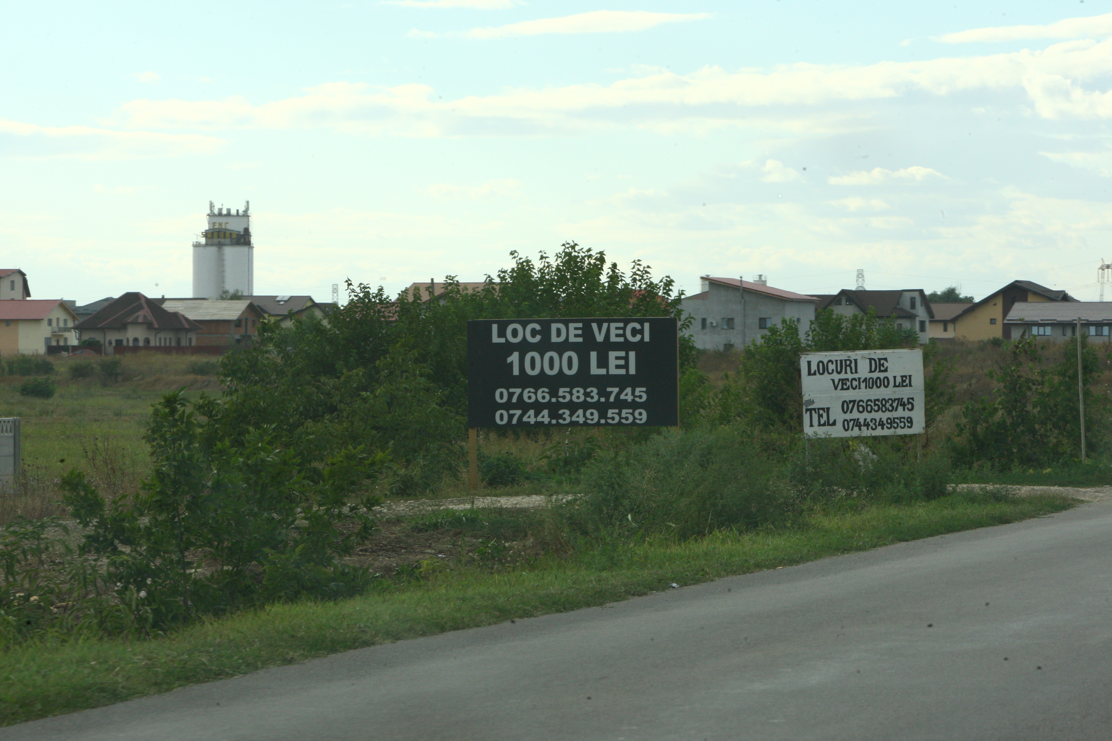 Un loc de veci prin lanul de floarea soarelui costa doar 1.000 lei