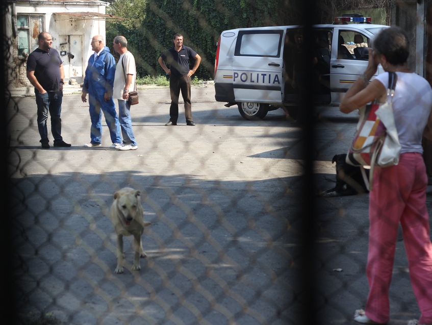 Gardul care imprejmuia proprietatea are mai multe gauri