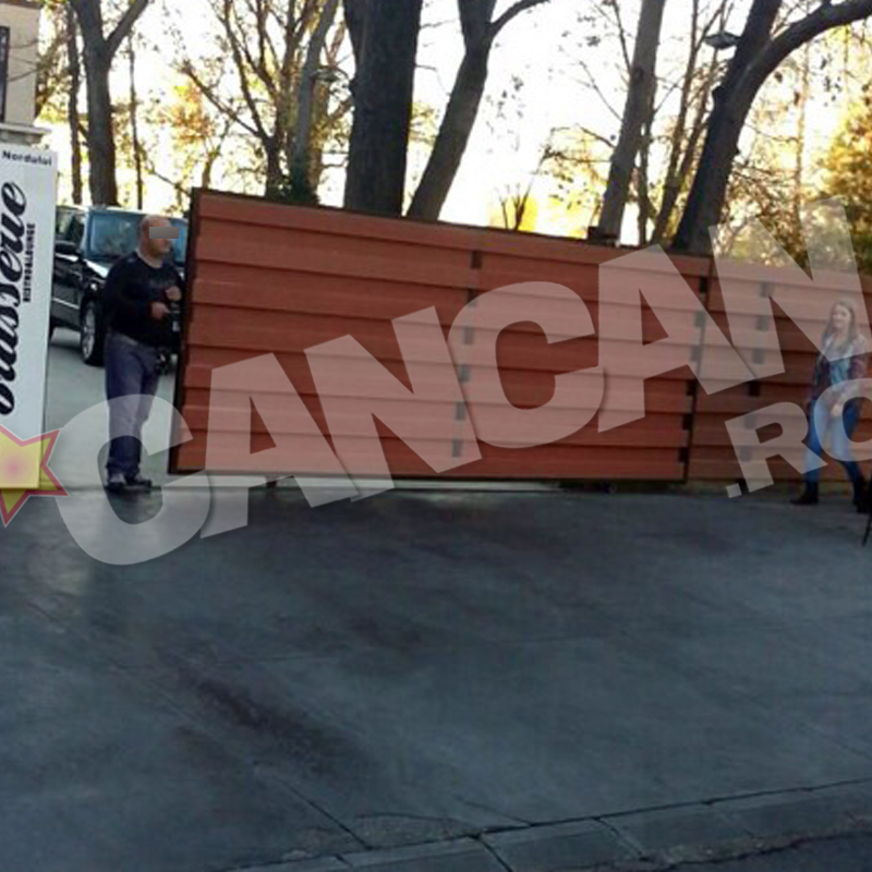 Invitatii lui Gabriel Oprea au petrecut cu portile inchise