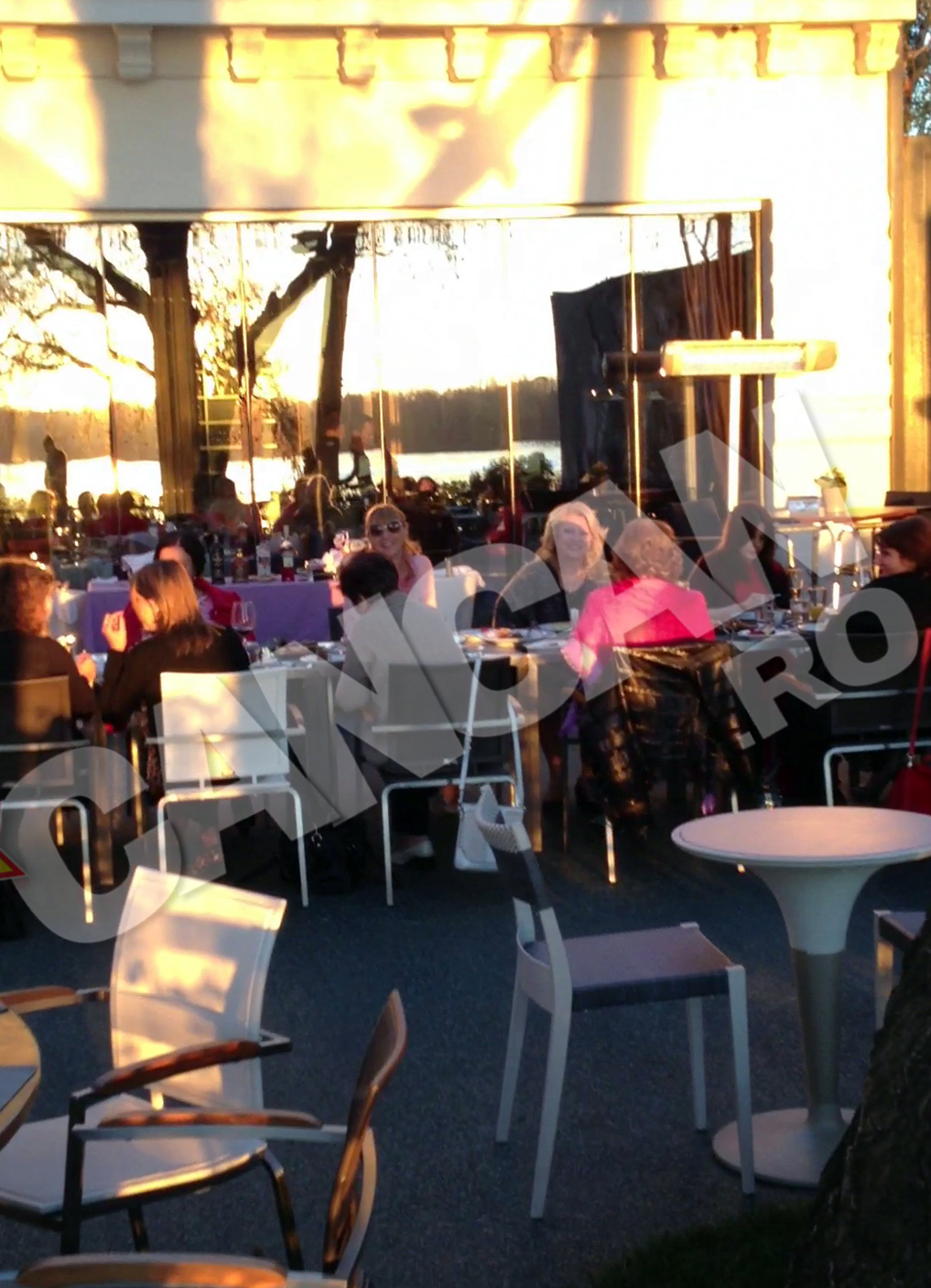 Doamnele s-au asezat in cealalta parte a mesei, plictisite probabil de discutiile politice ale sotilor lor