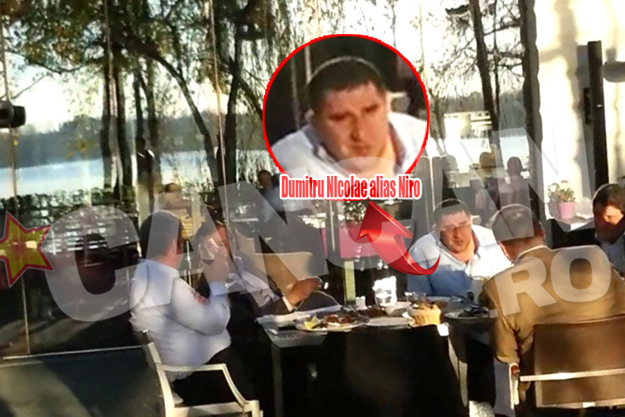 La petrecerea lui Gabriel Oprea a participat si afaceristul Dumitru Nicolae, alias Niro, si el membru al partidului condus de sarbatorit