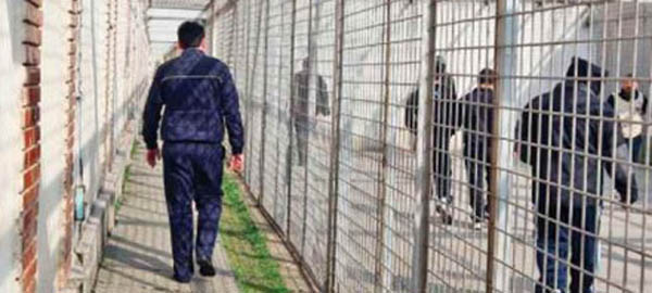 Gardienii au grija ca detinutii de 