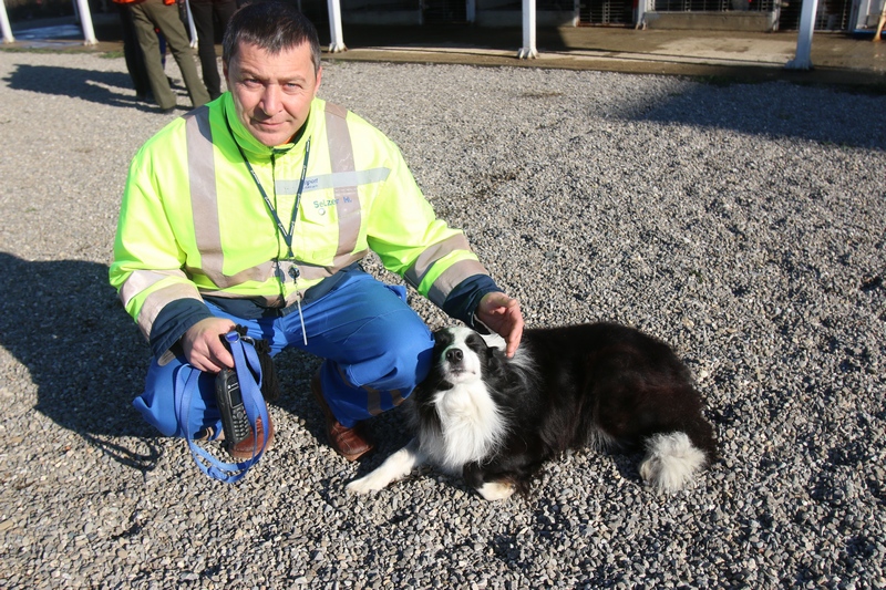 Gheorghe Militaru se pregateste sa plece pe teren cu Taz si Luca