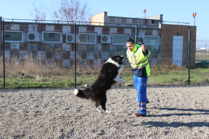 Inainte sa plece la munca cei doi se joaca un pic