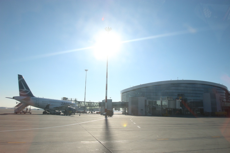 Job-ul cainilor este sa tina pasarile departe de avioanele care aterizeaza si decoleaza in fiecare zi