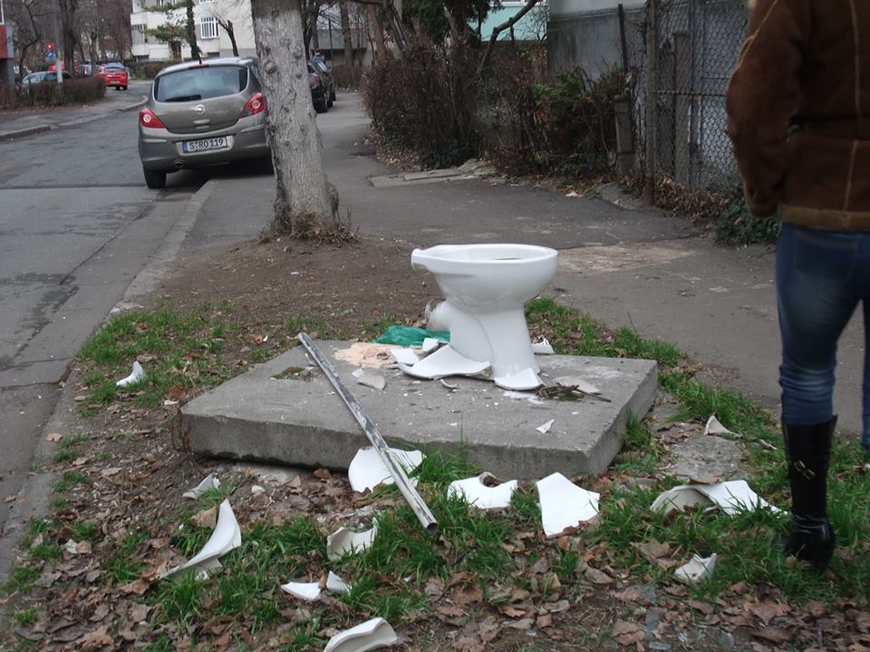 Diana Pap a vrut sa traga un semnal de alarma fata de indiferenta timisorenilor