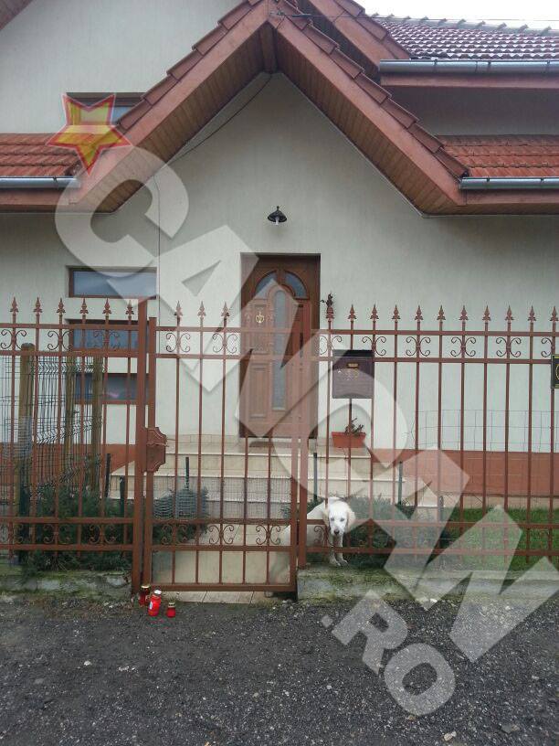 Cainele familiei Iovan, vizibil afectat si infometat