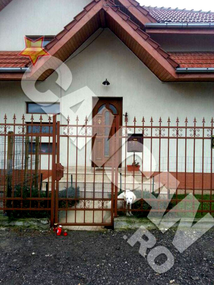 Labradorul familiei Iovan