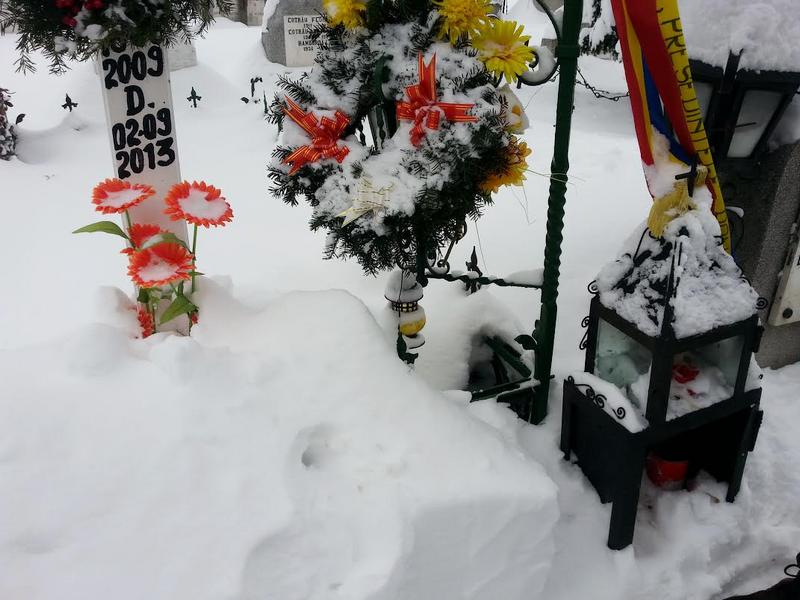 Tatal lui Ionut Anghel sustine ca a fost atacat de o haita de caini