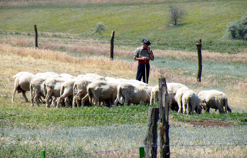 foto arhiva sursa: cugetliber.ro