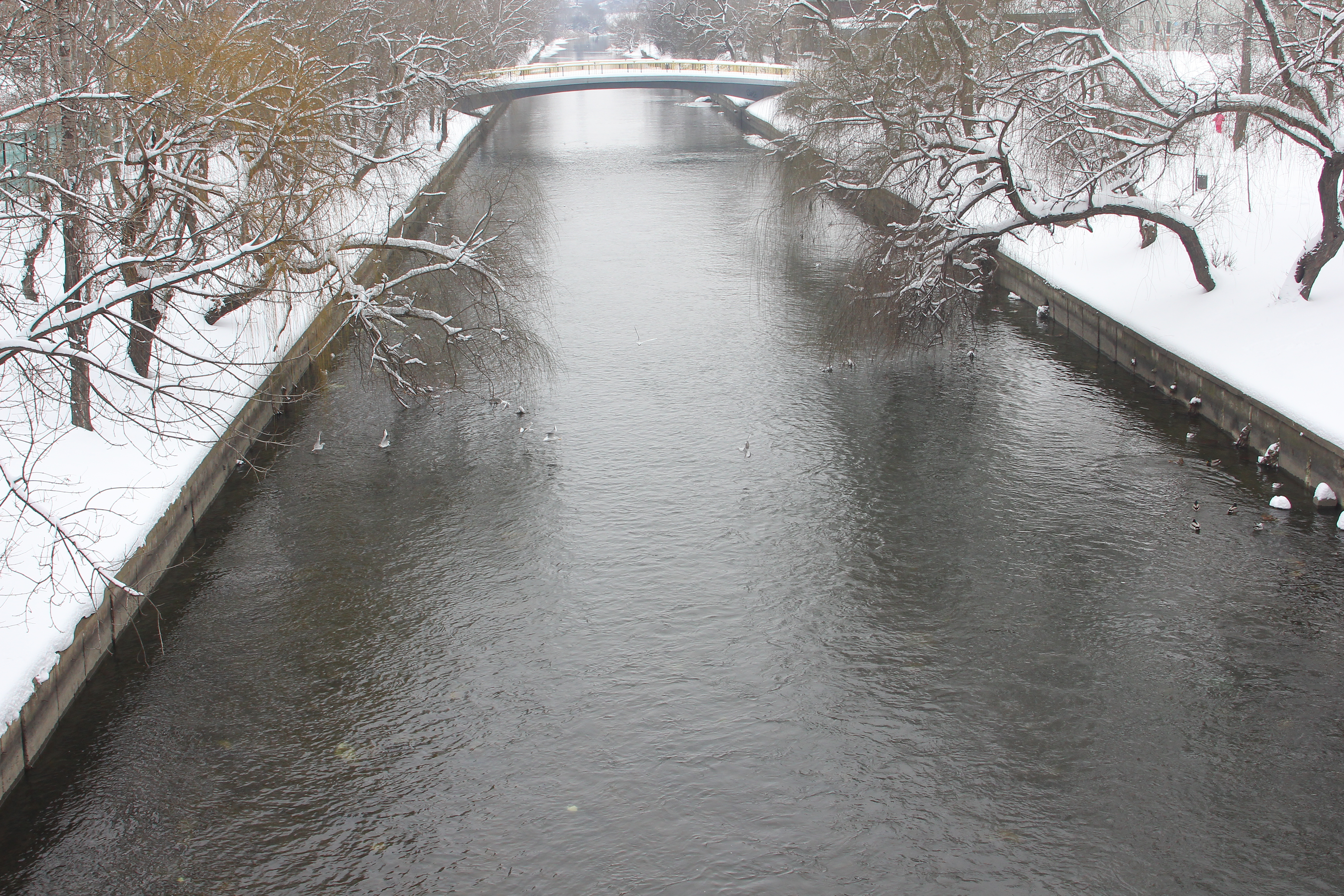 Politistul a incercat sa salveze o femeie care s-a aruncat pe pe Podul Colentina