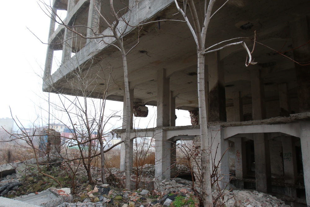 Cladirea este in pericol sa cada, mai multi stalpi de rezistenta ai cladirii au disparut