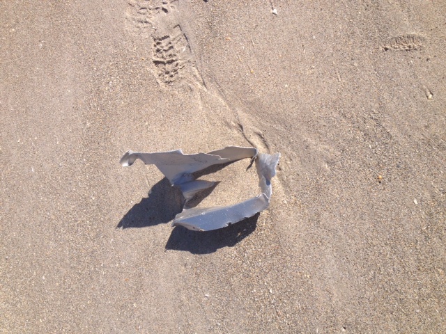 O bucata din avionul pilotat de Andrei Postelnicu gasite de politia americana