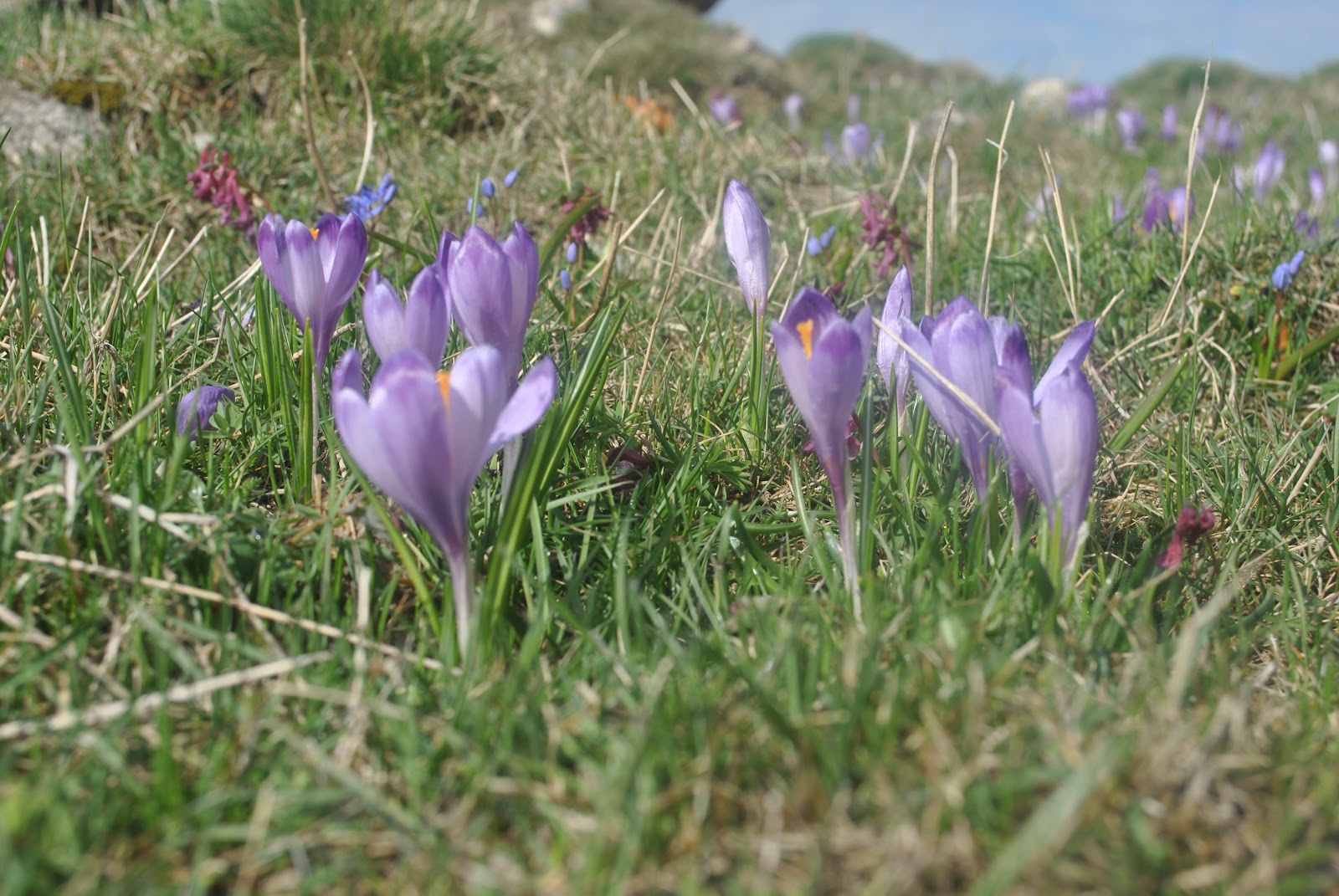Meteorologii anunta ca vremea se incalzeste